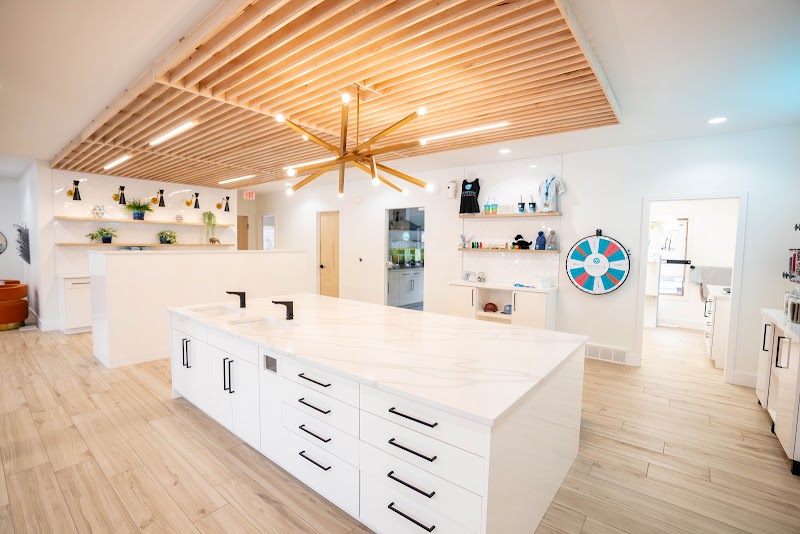 Manzella Orthodontics