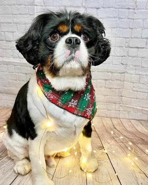 Practice 8926a818 - Photo 2