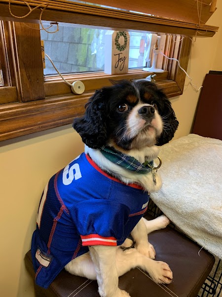 Practice 8926a818 - Photo 3