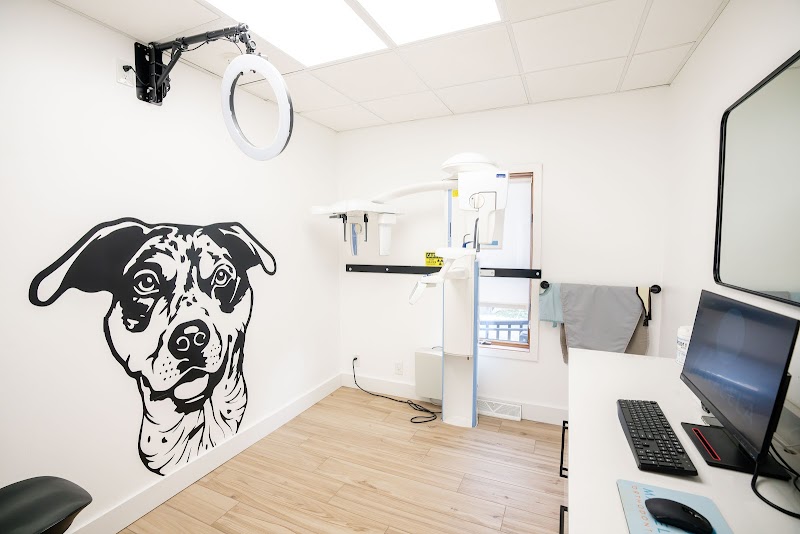 Practice 066a41f9 - Photo 3